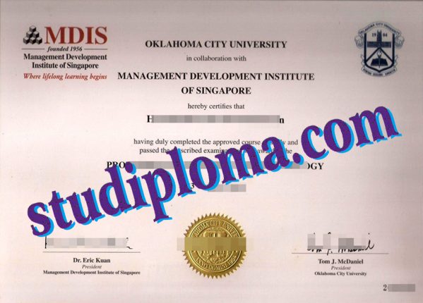 Management Development Institute of Singapore diploma