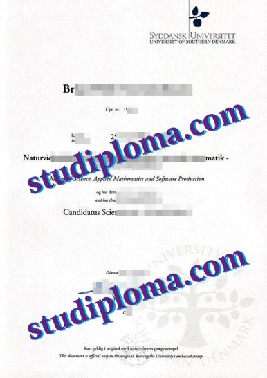 fake University of Southern Denmark diploma