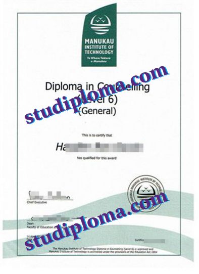 Manukau Institute of Technology diploma