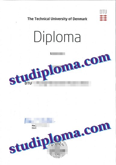 fake DTU diploma
