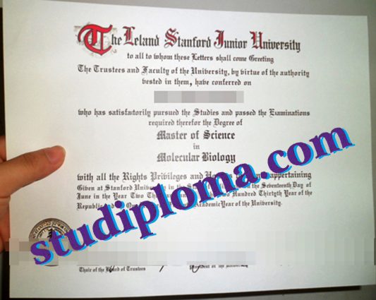 Leland Standford Junior University fake degree certificate