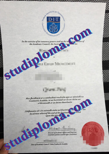 Dublin Institute of Technology fake diploma